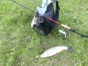      SV Fishing Lures,  PA 40 HW, 4,8 ,  FL08